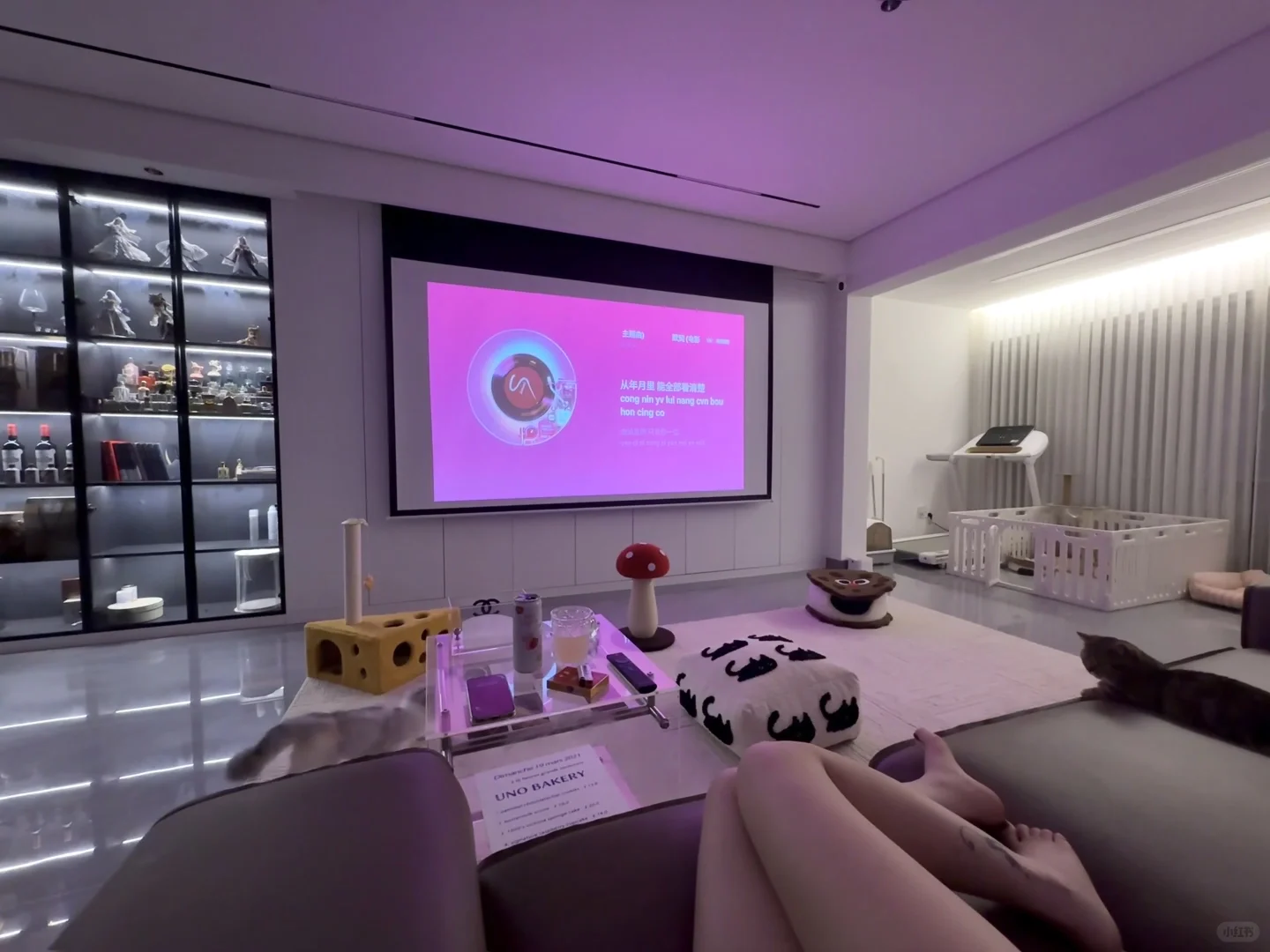 无责6-8千包吃包佳，新人小白免费训