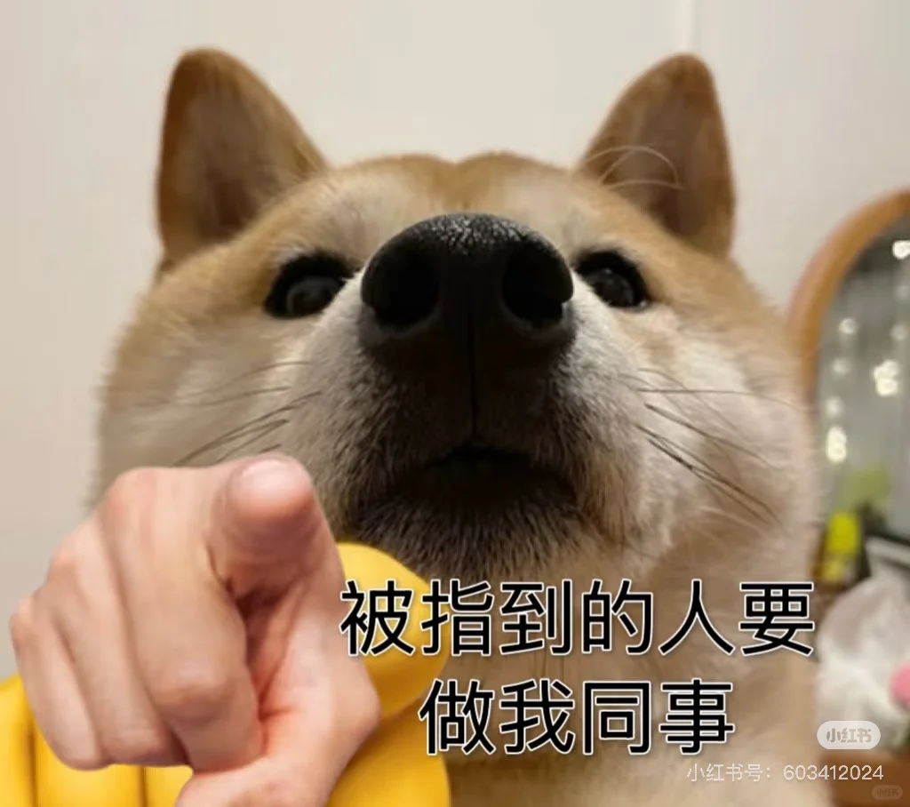 这是一条诚恳的招聘文案👋