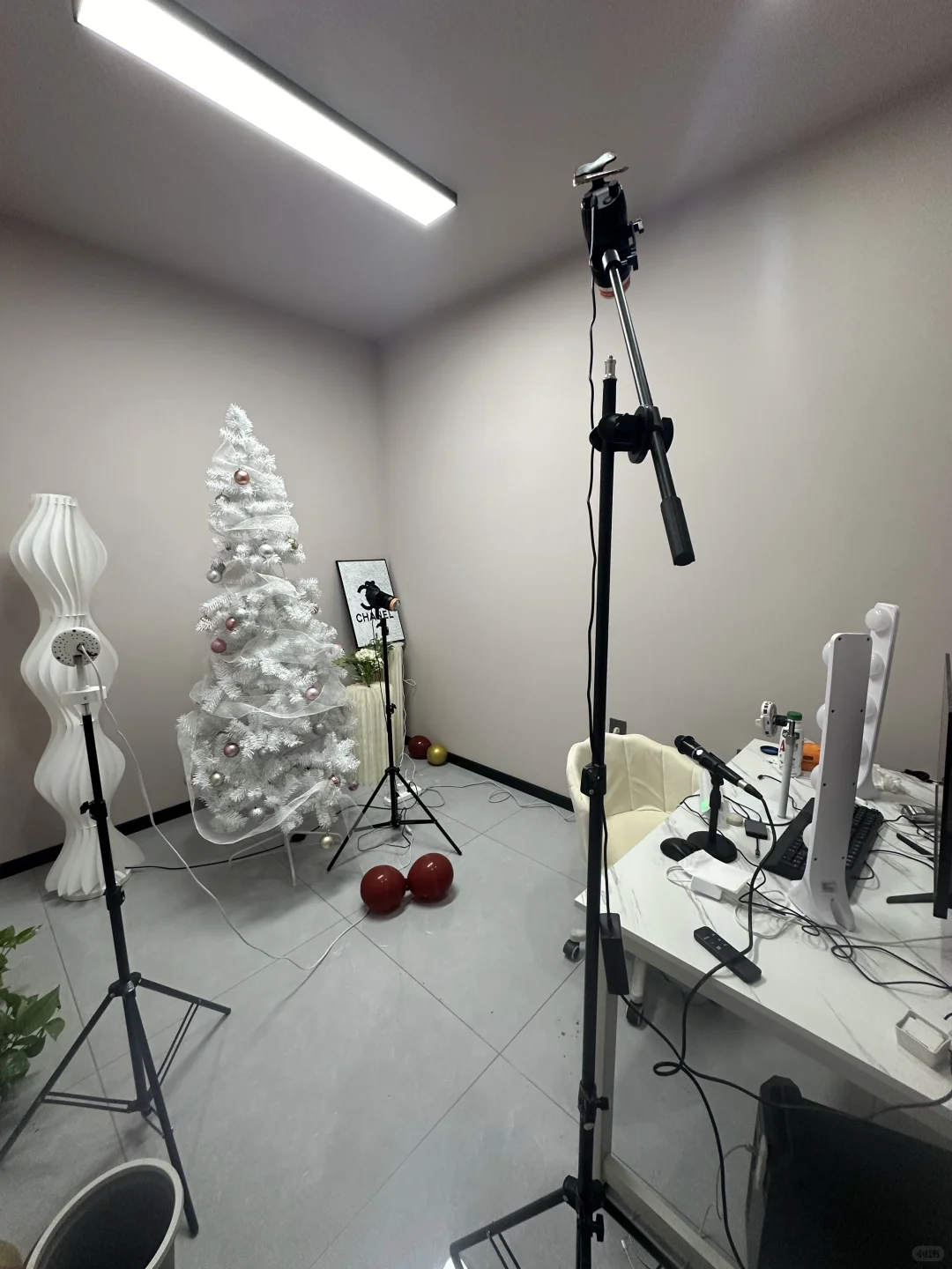 重生之我在传媒公司房主播