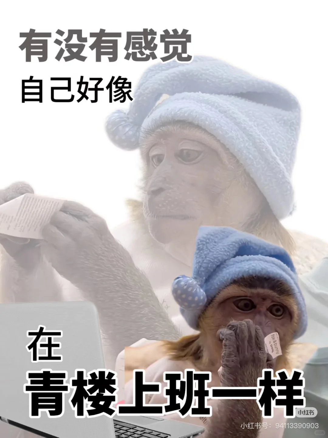 才周三 我以为过了一年