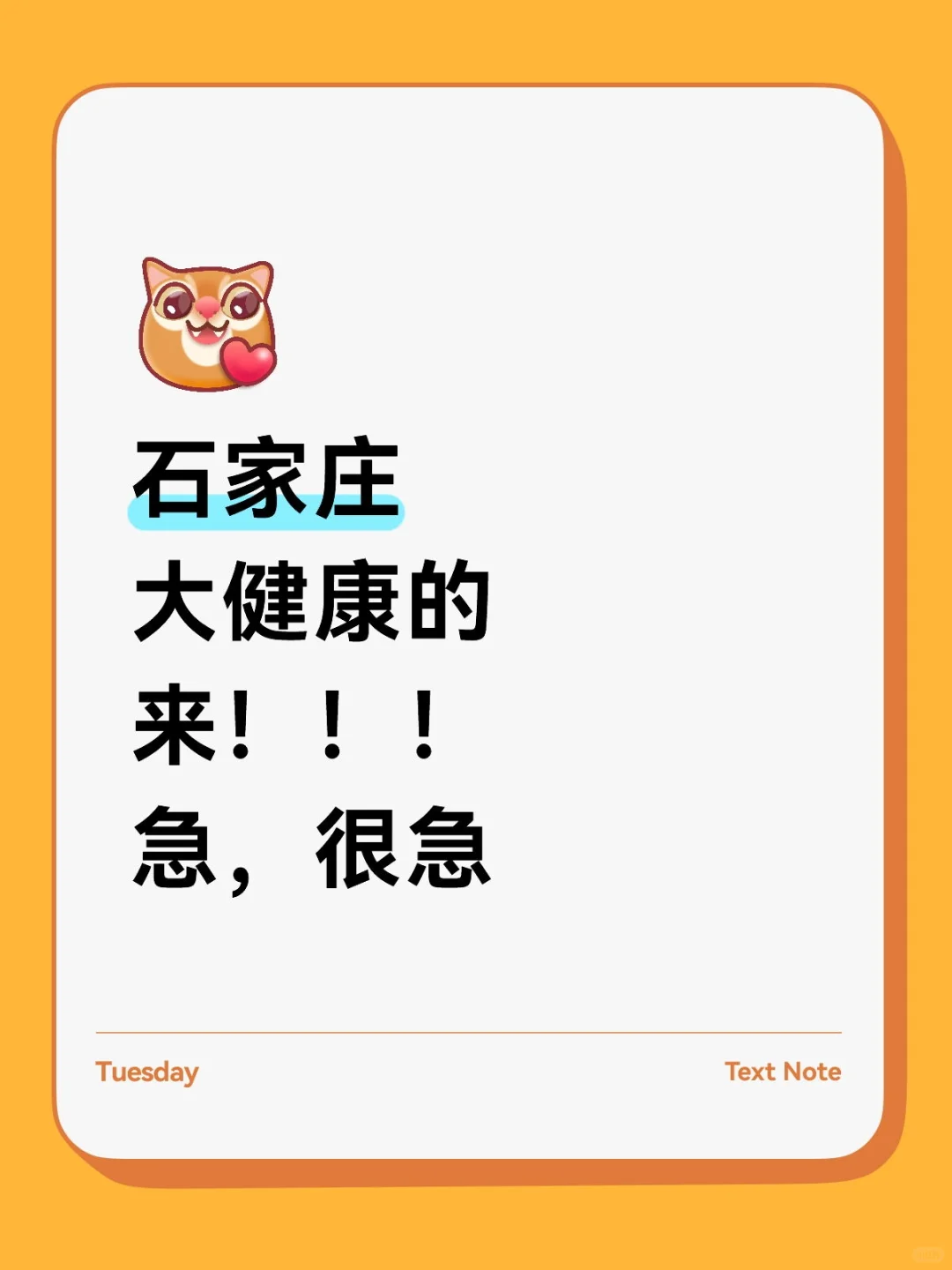石家庄新项目急招人