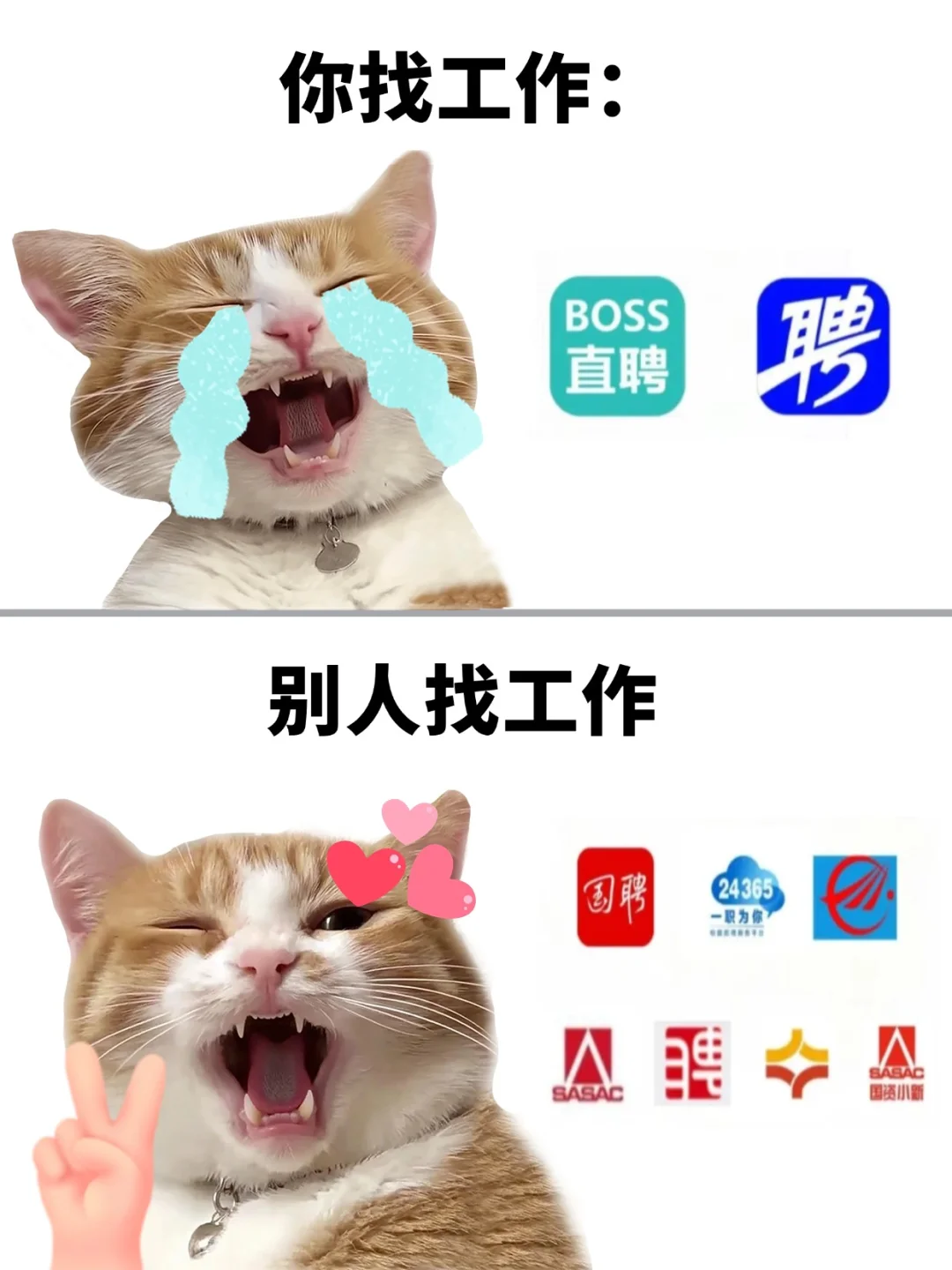 这7个国家出的找工作平台，才是王炸‼