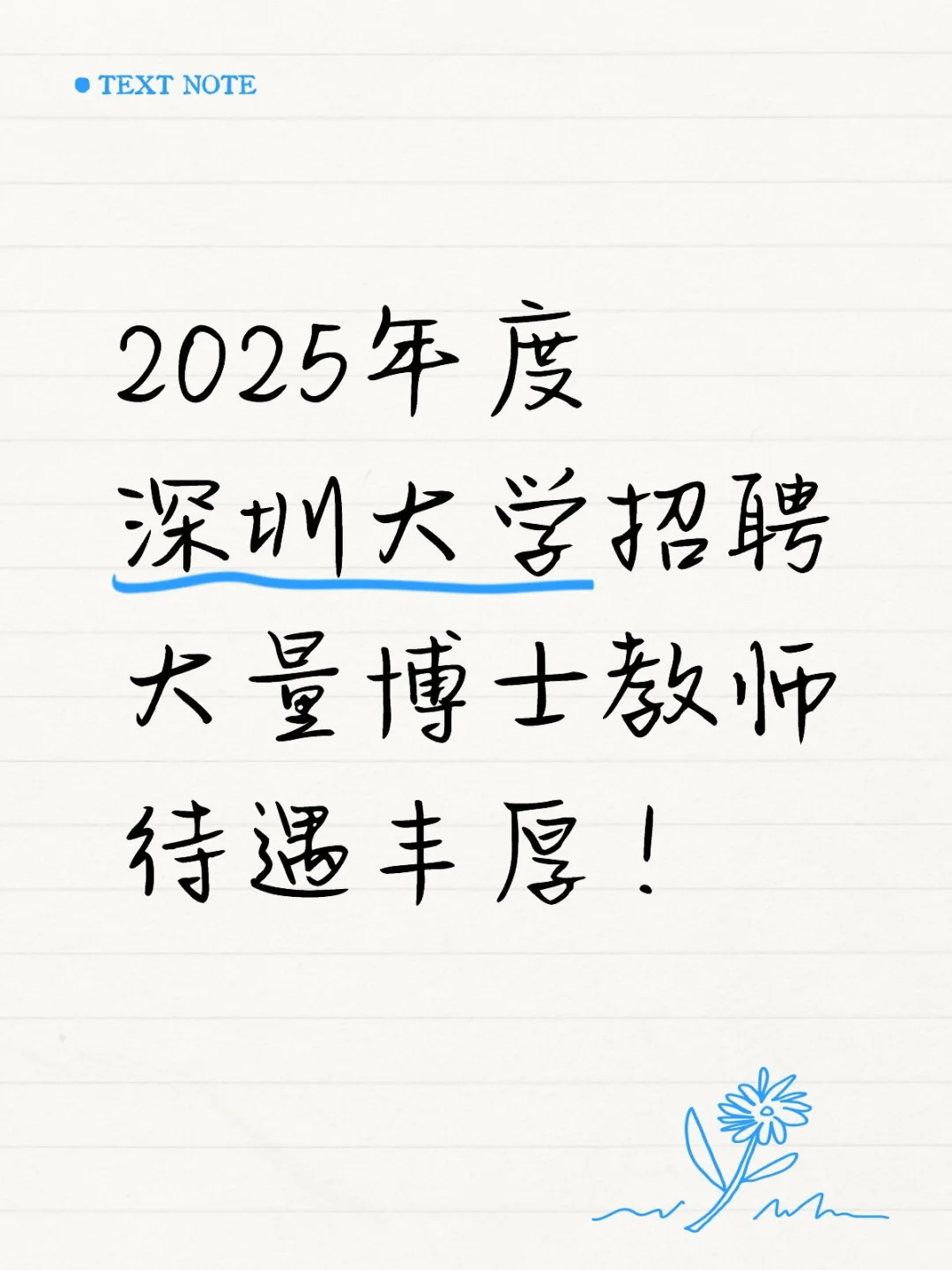 2025深圳大学招聘大量博士教师，年薪30w+