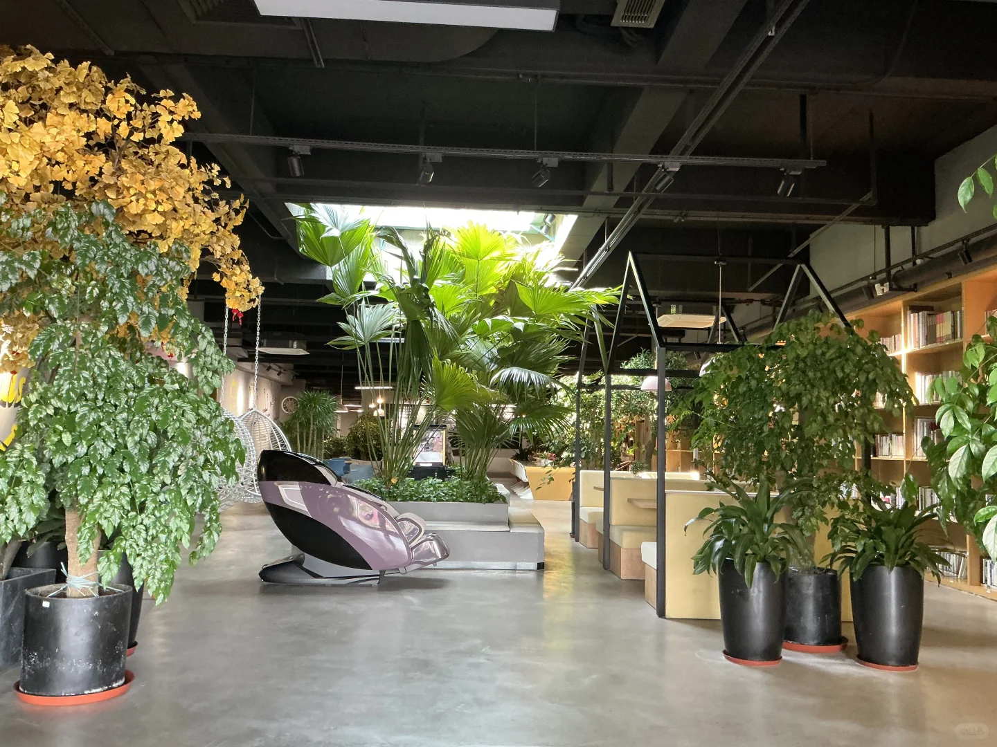 1.2W急聘 | 深圳电商平面设计