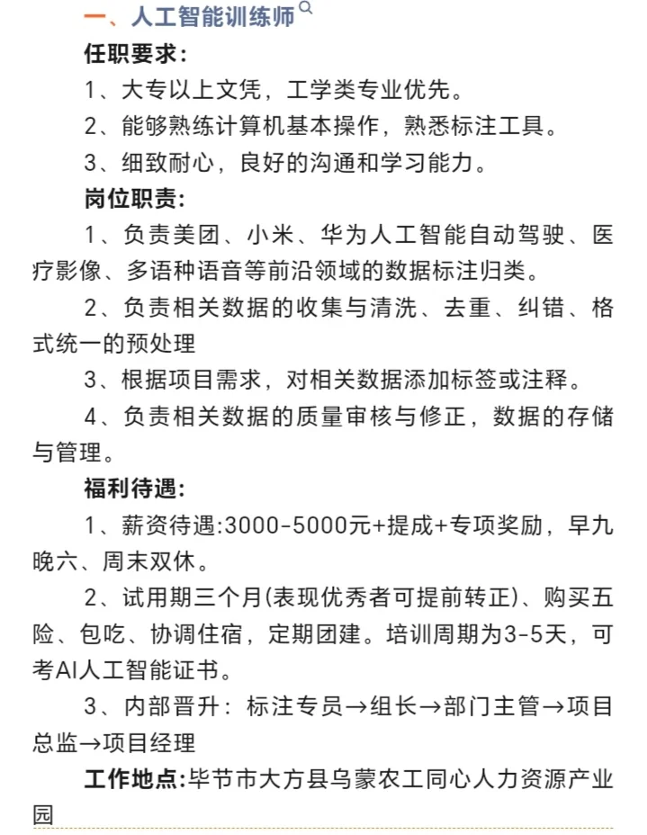 那些令人羡慕的岗位要求！🌟