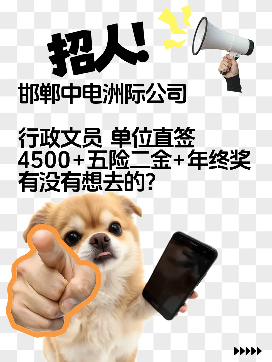 邯郸中电洲际 国企招聘