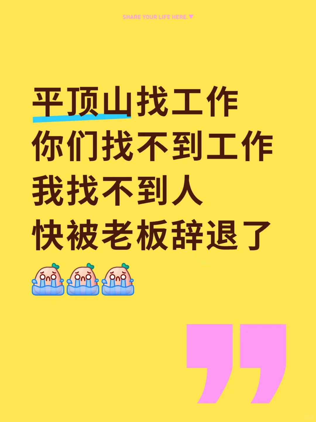 为什么招不来人啊啊啊！