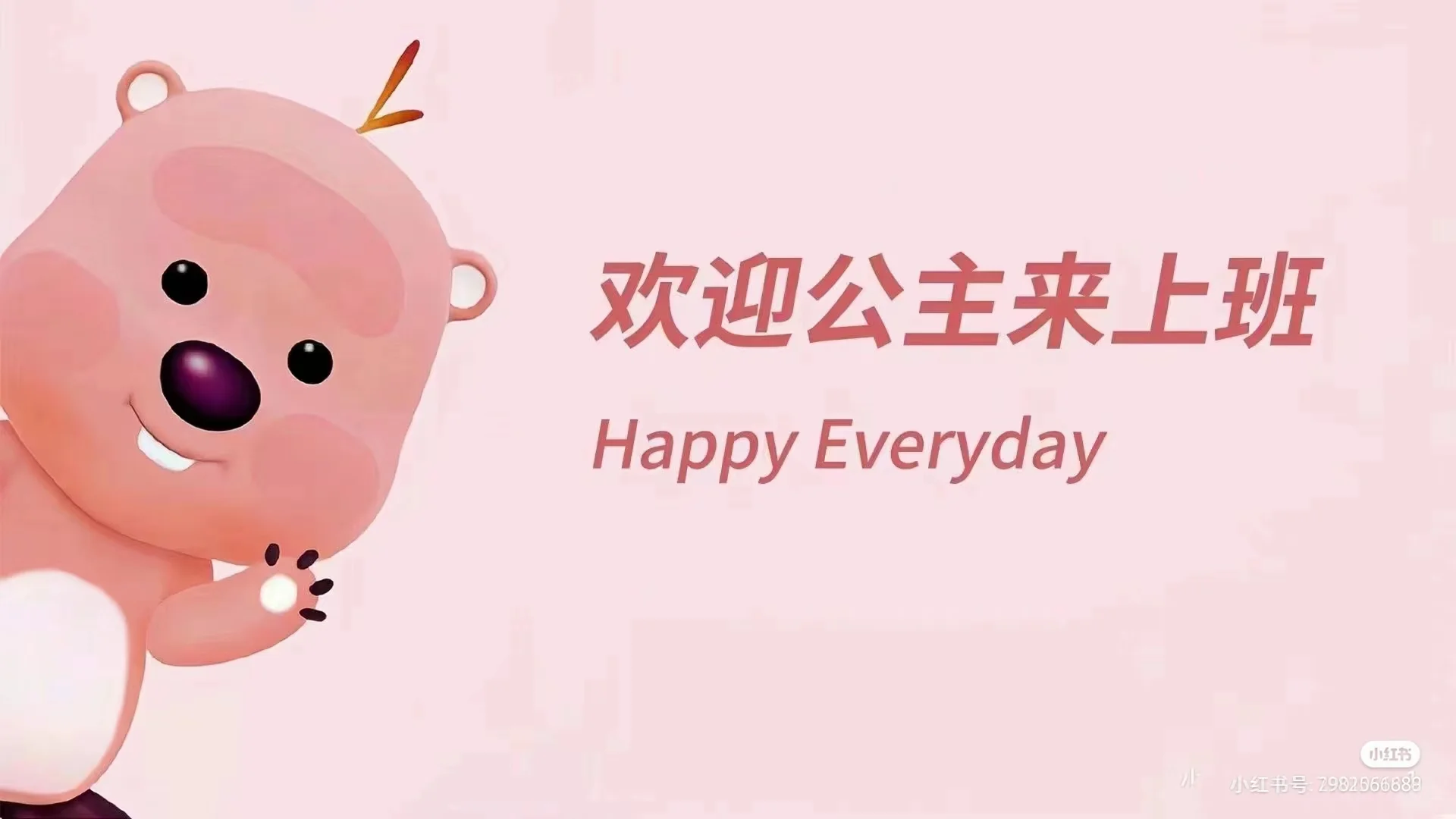 公司招人啦，双休