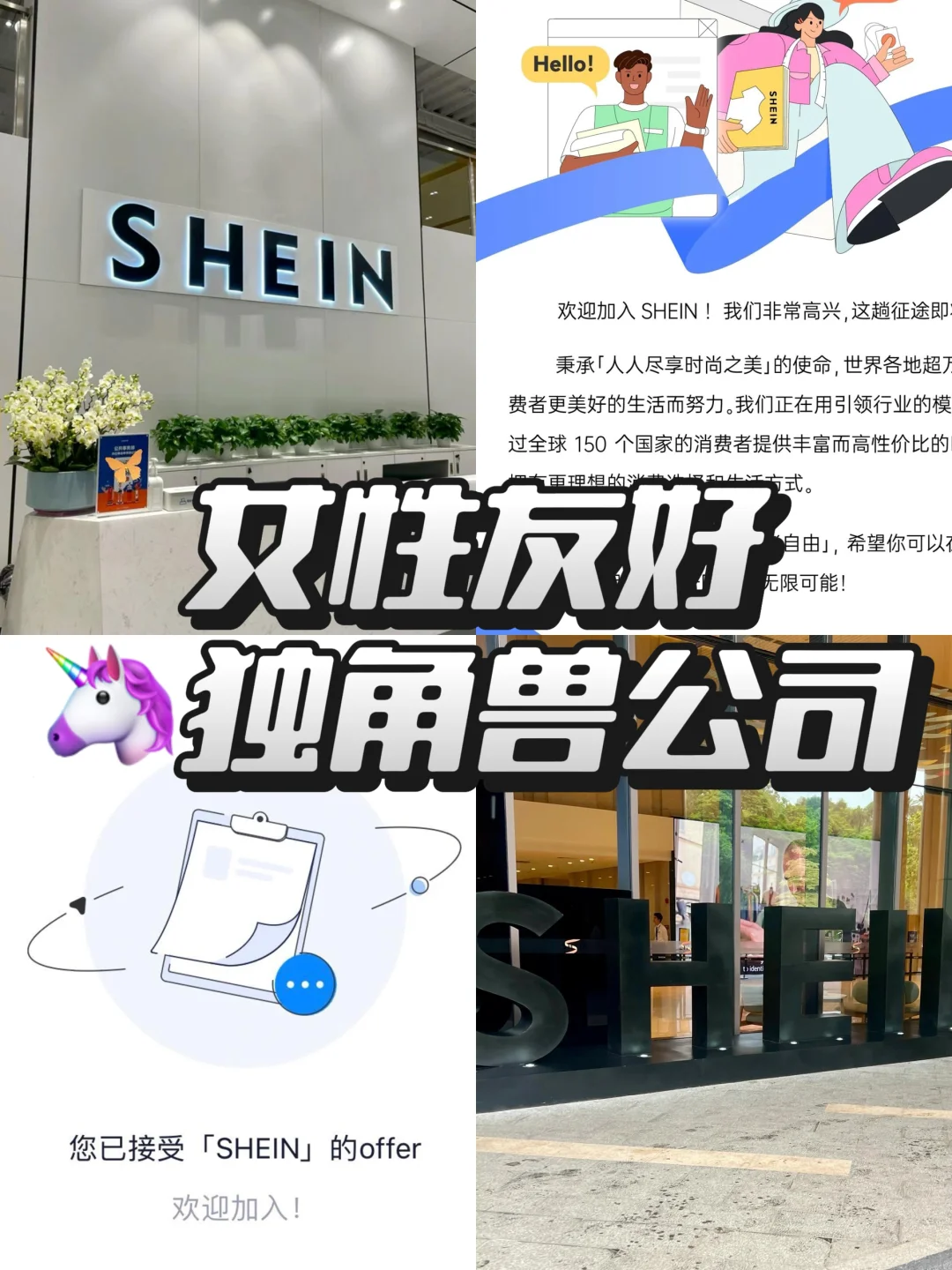 秋招找工作的姐妹❗️冲女性友好🦄独角兽公司