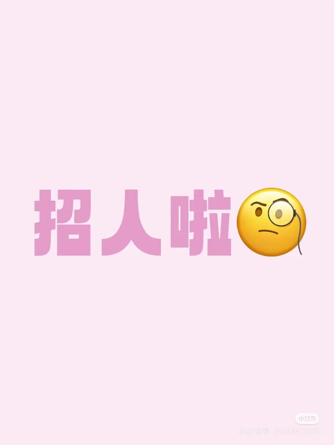 公司招人啦，双休