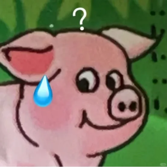 不是，你工科应届留子回国还焦虑个什么劲呀