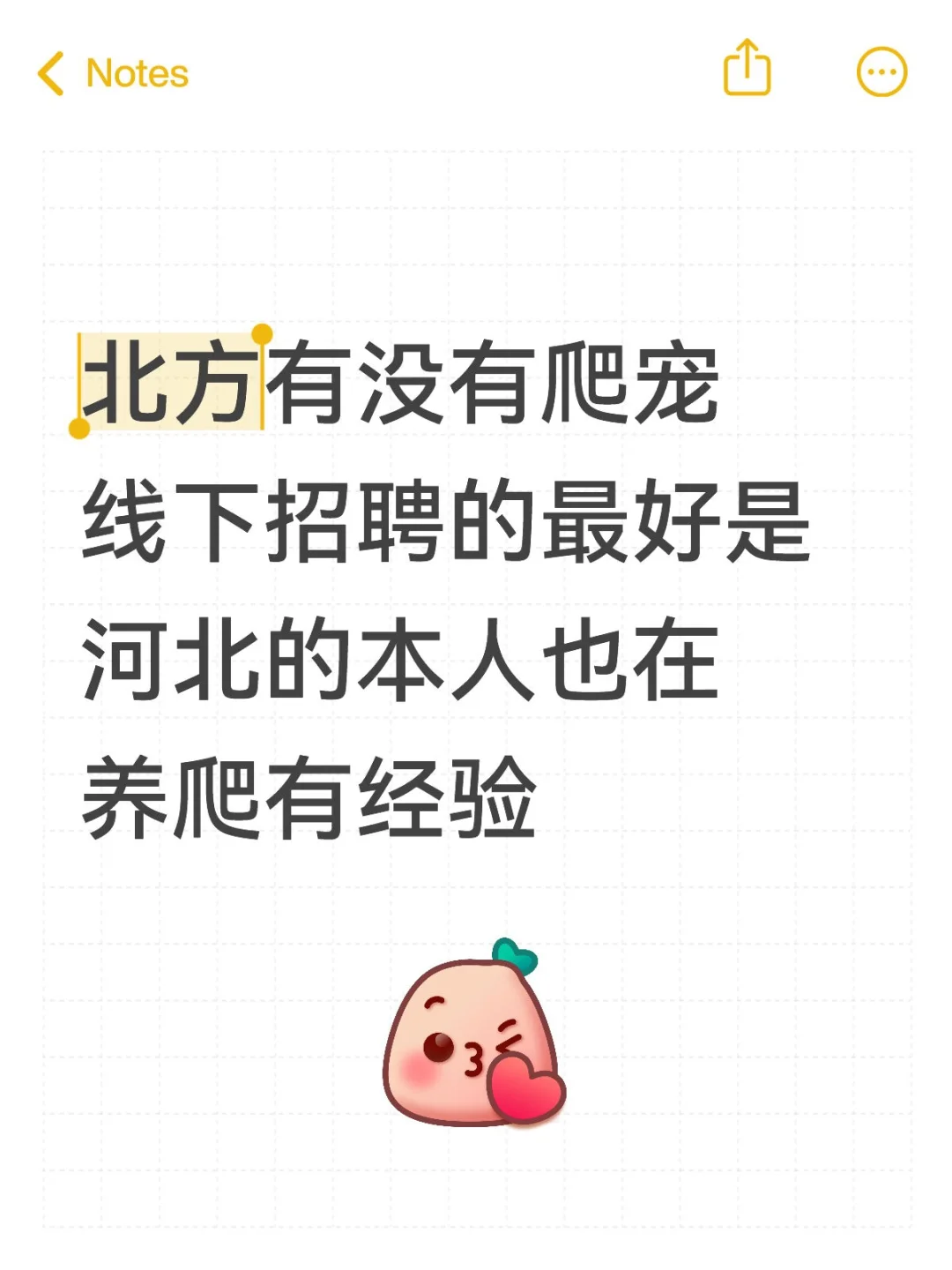 爬宠招聘线下