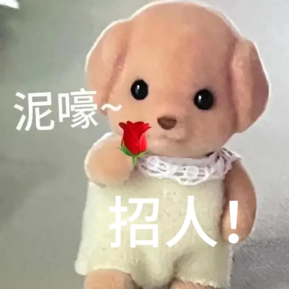康康俺！超绝办公环境+双休+五险一金！