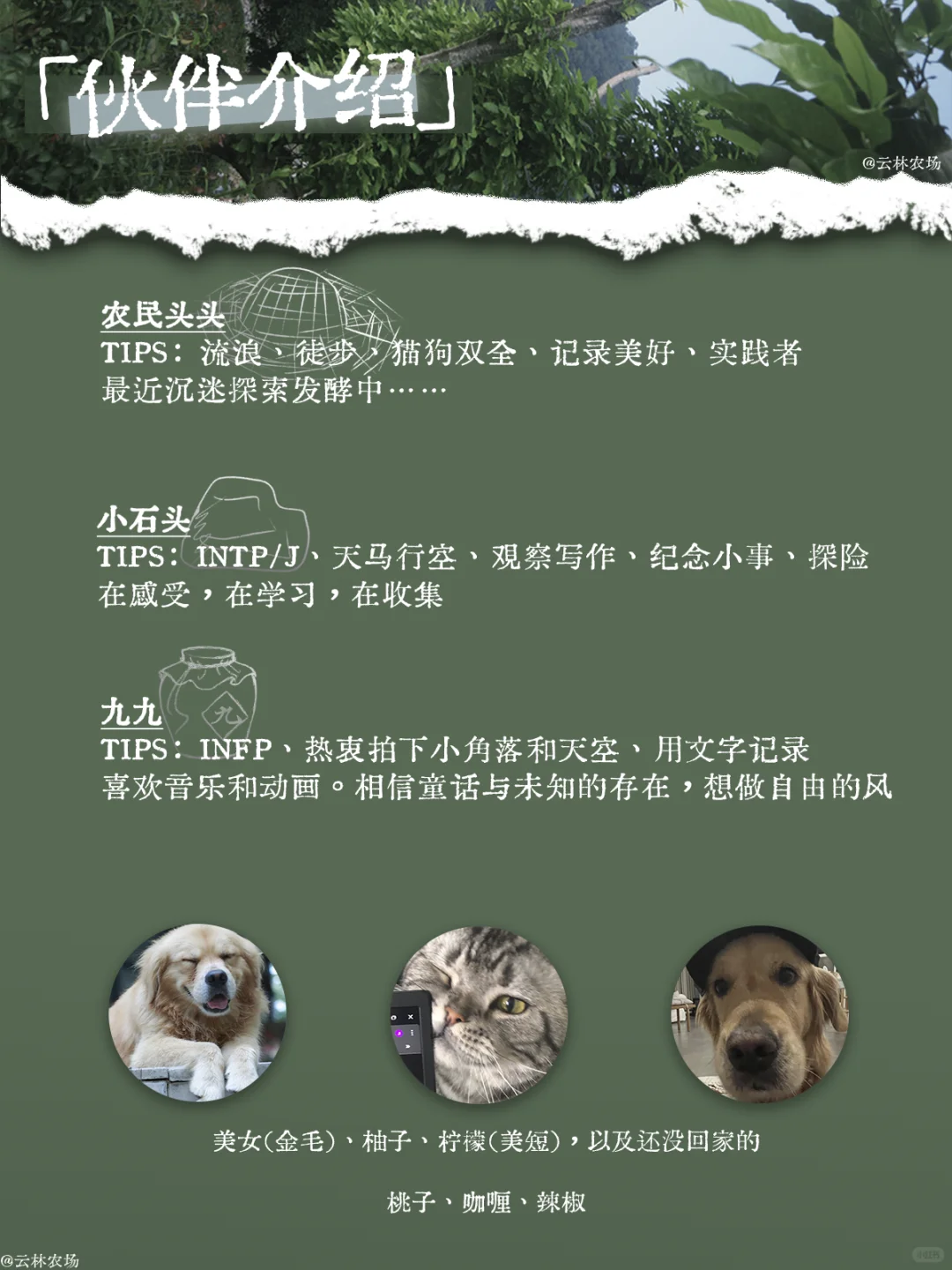 农场招人啦｜和我们一起 让这座山活起来