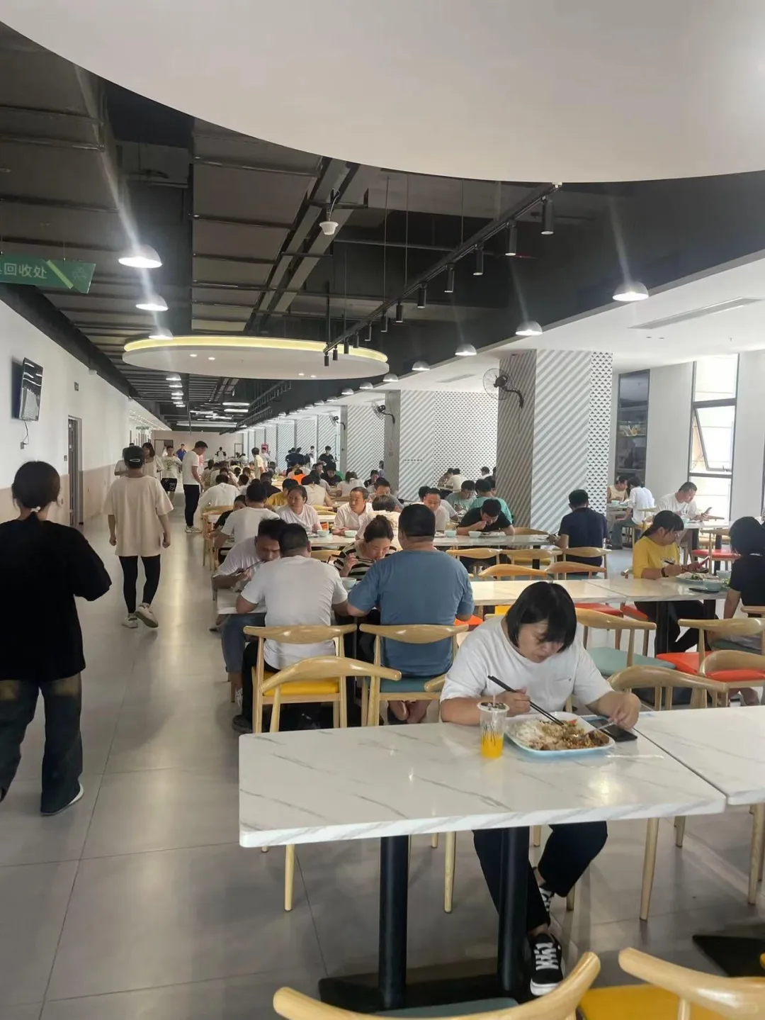 急招 浙江电子厂要人啦