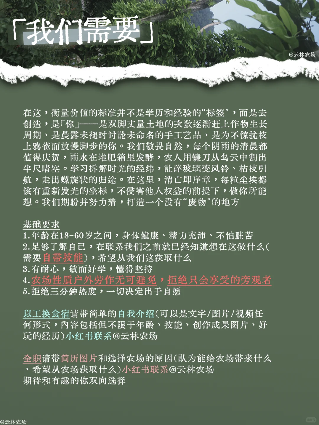农场招人啦｜和我们一起 让这座山活起来