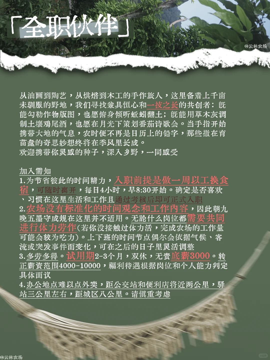 农场招人啦｜和我们一起 让这座山活起来