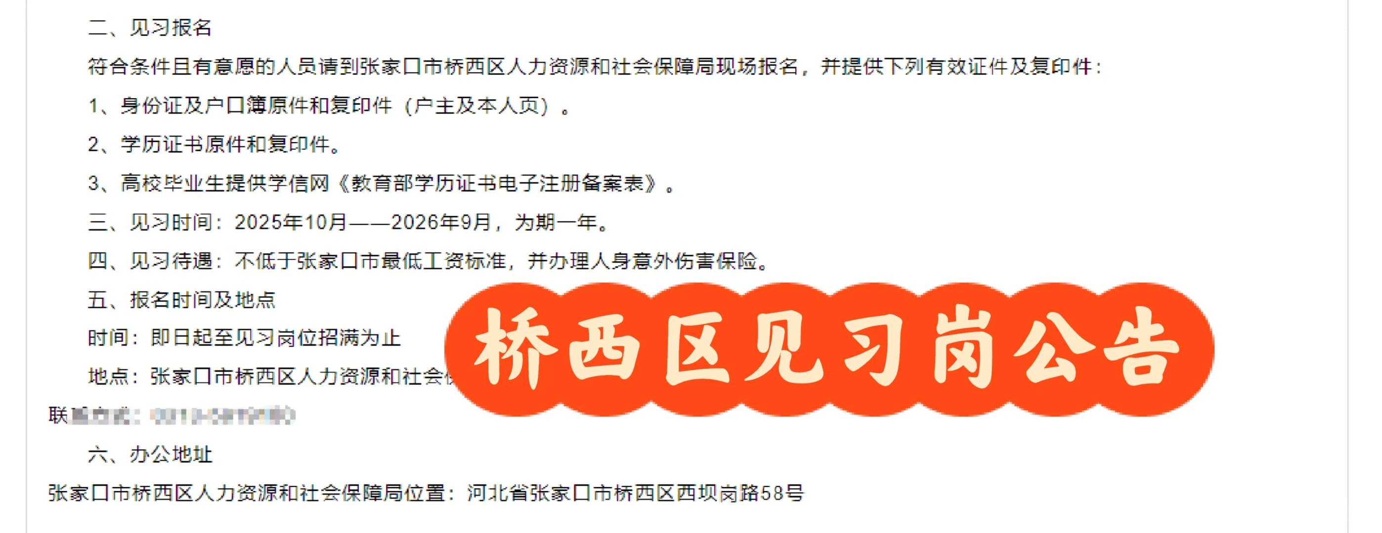 桥西区人社局2025年青年就业见习岗位公告