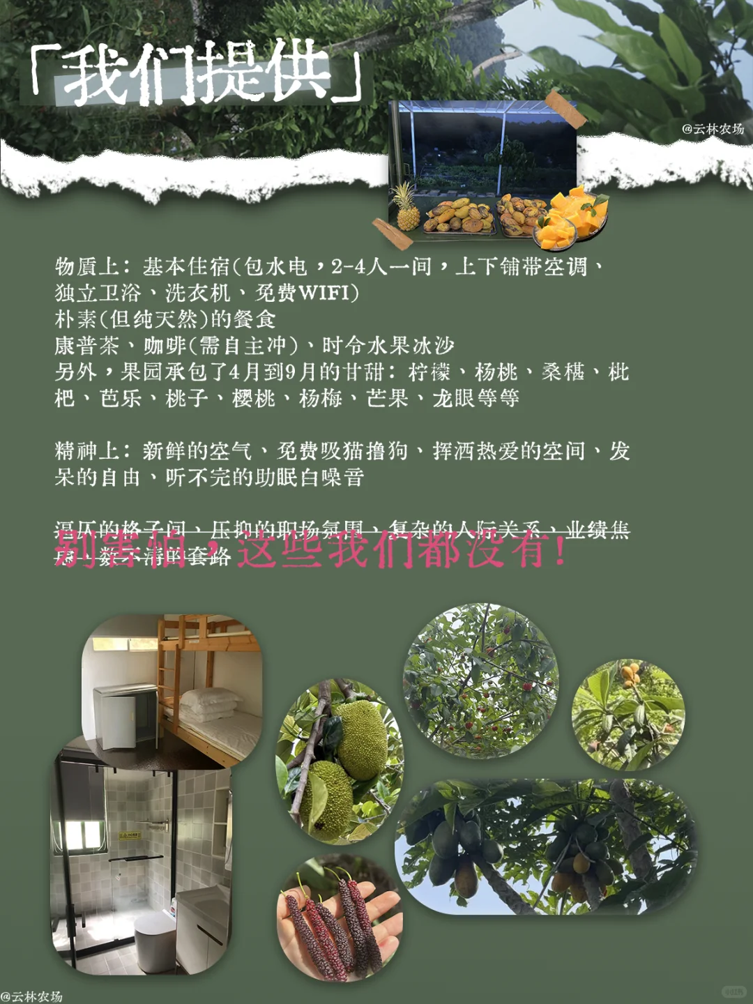农场招人啦｜和我们一起 让这座山活起来