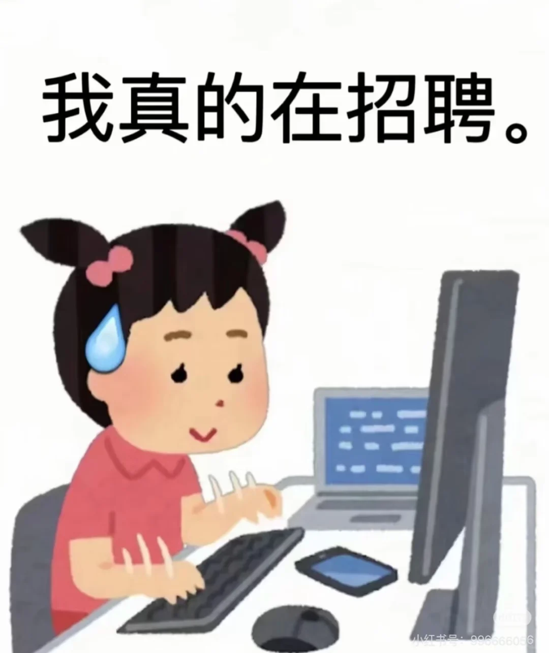 杭州招人 行政岗