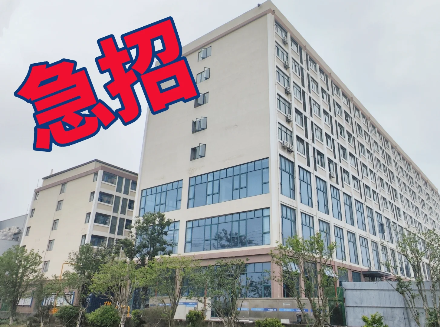 急招 浙江电子厂要人啦