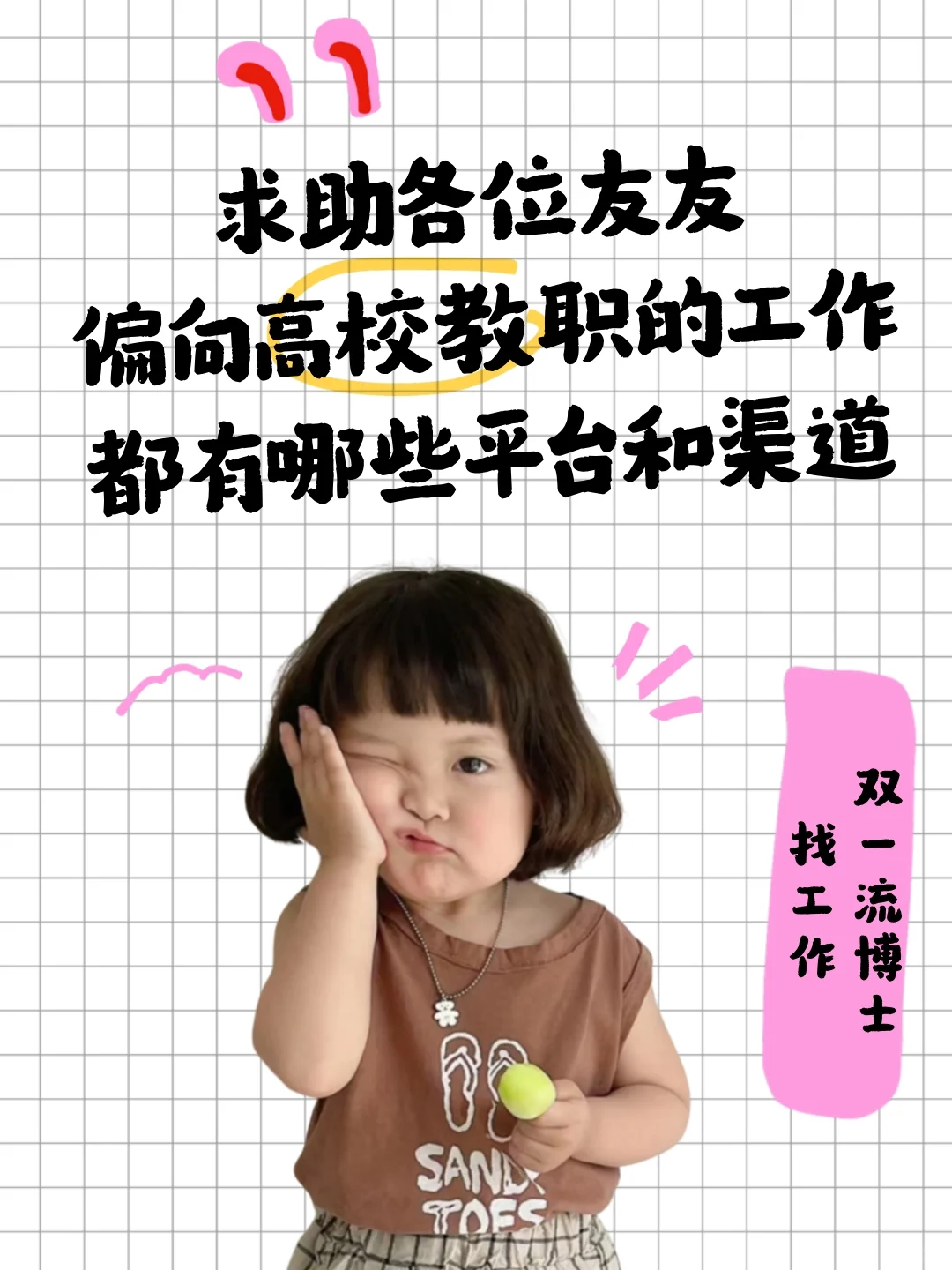 博士求职【偏向高校教职】
