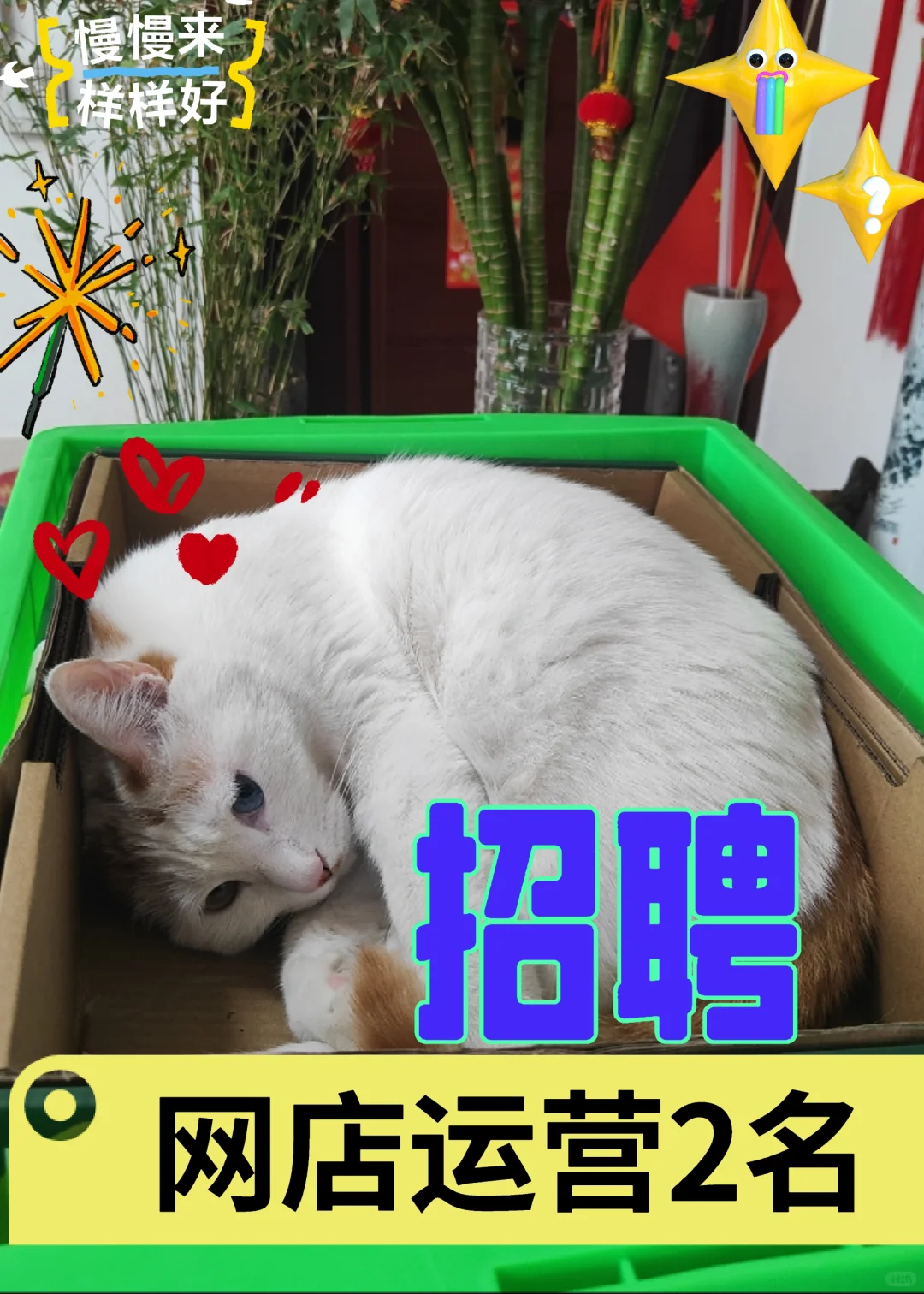 天津市河西区招聘