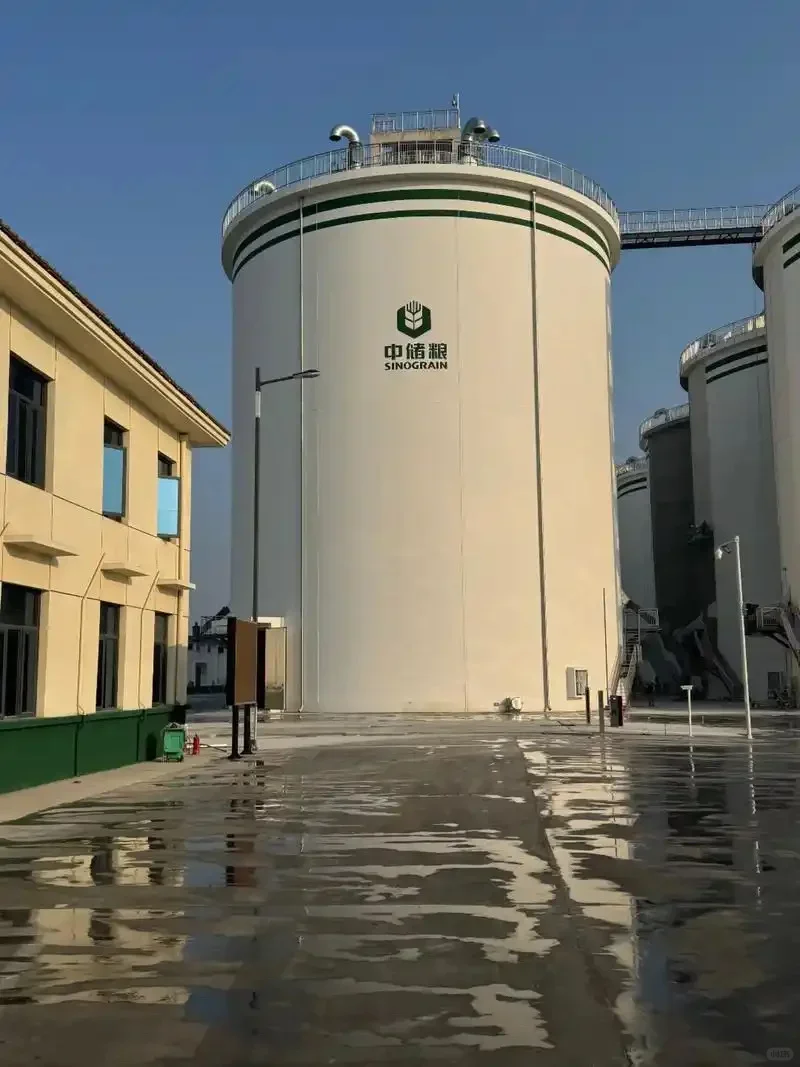 福建中储粮秋招捞人了🥳（正式编）上岸!