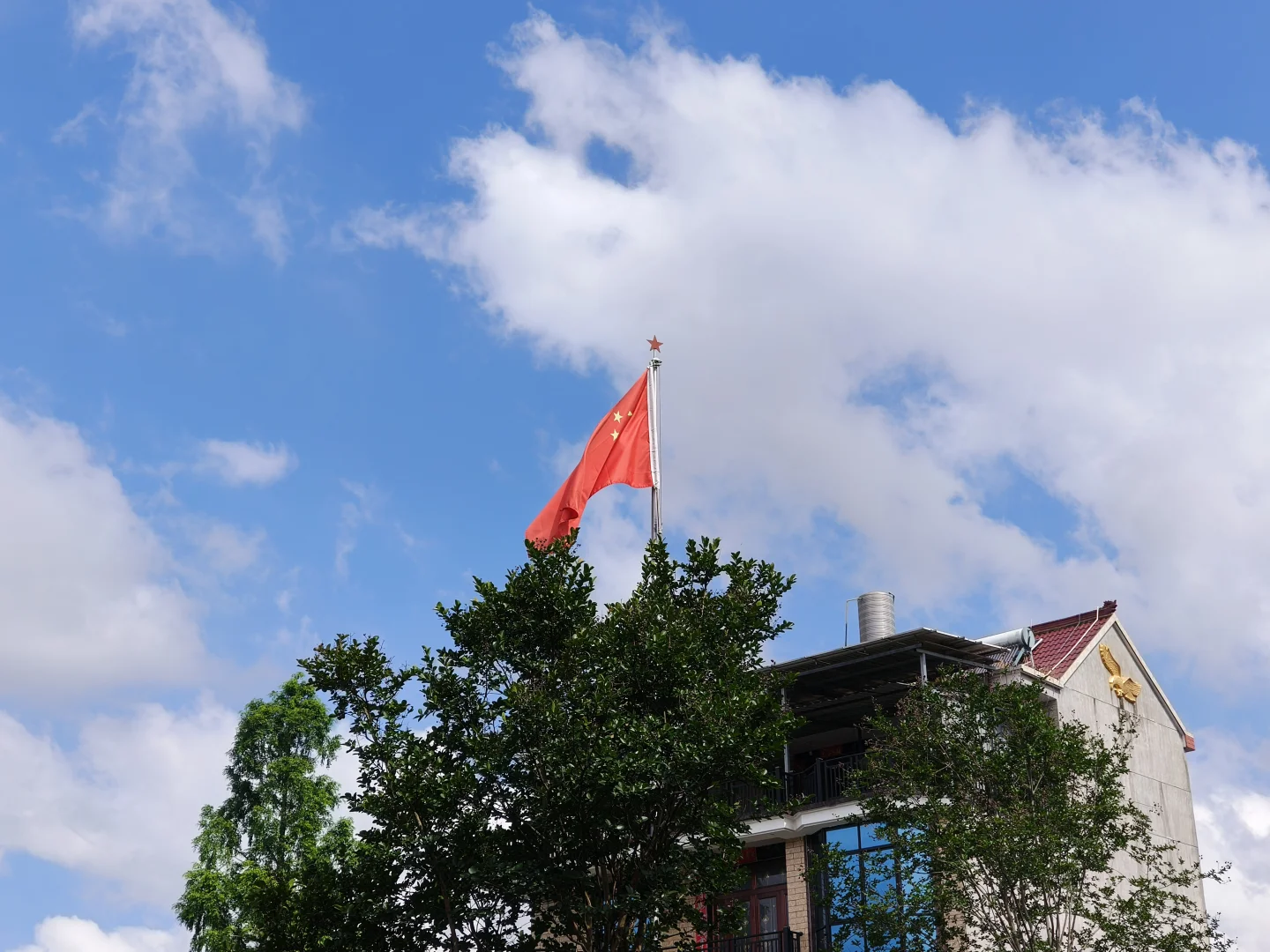 招聘老板公告