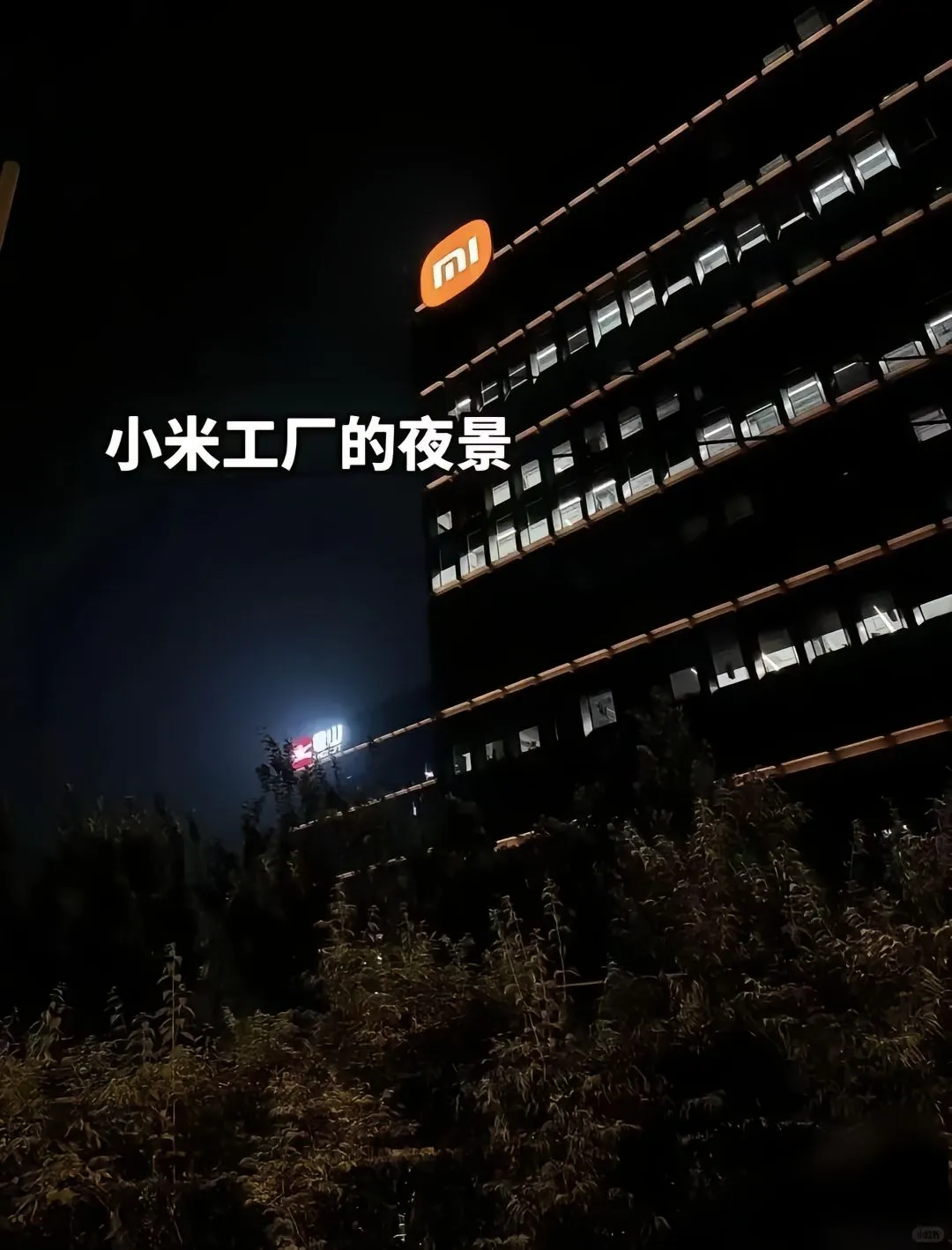 小米集团！可以帮忙内推！