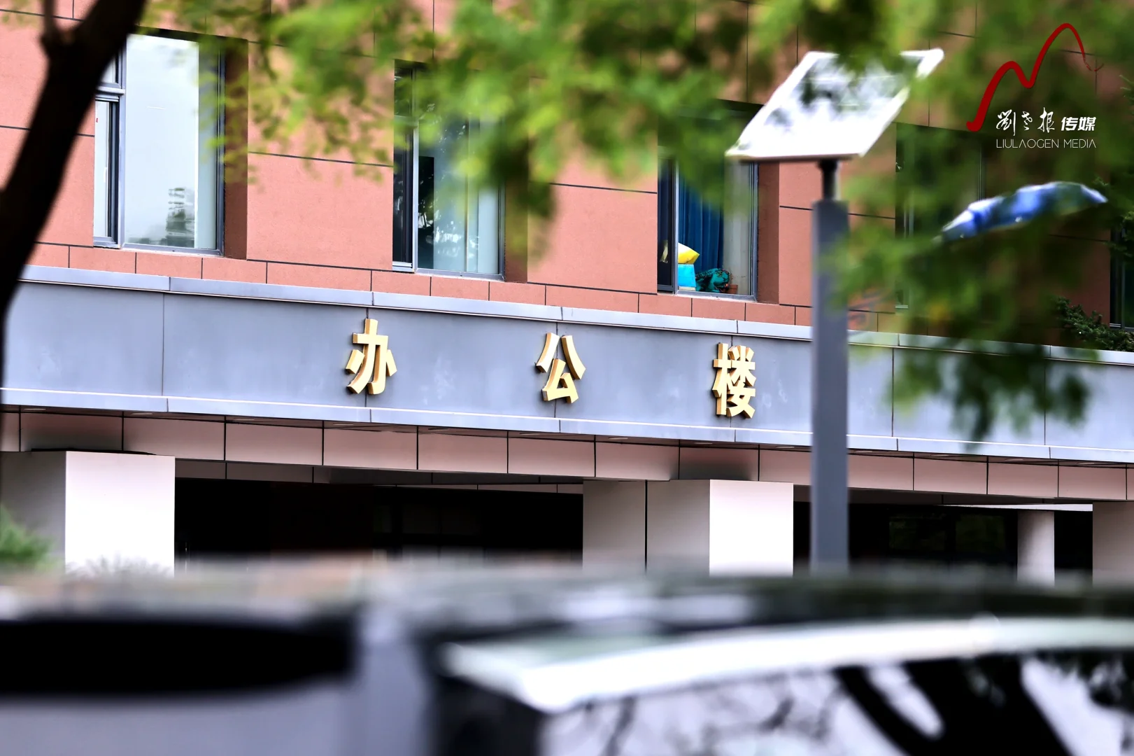 需要人才了，有想来这里上班的吗？