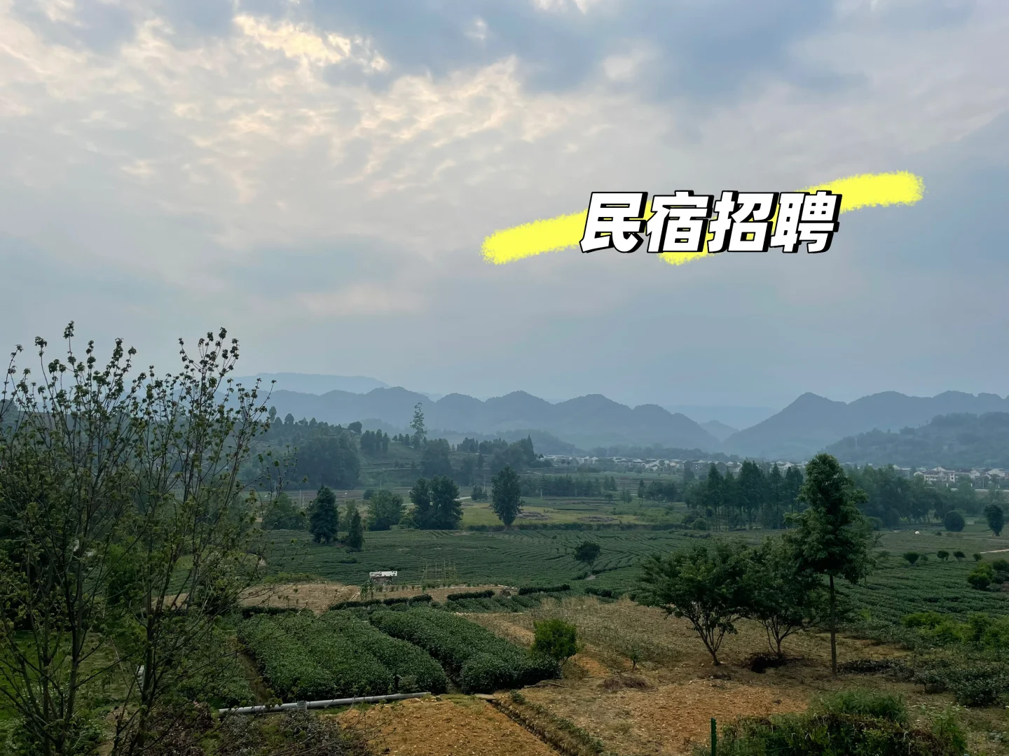 山里的民宿马上开业了