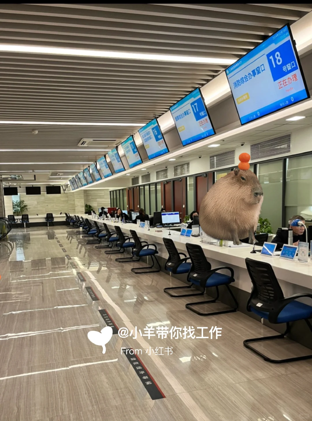 有人来吗? 双休门槛低