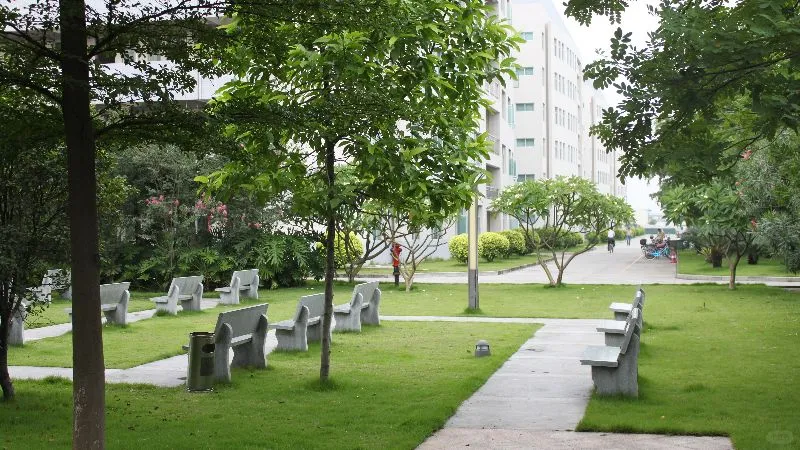 广东理文造纸诚聘锅炉主操主值岗位
