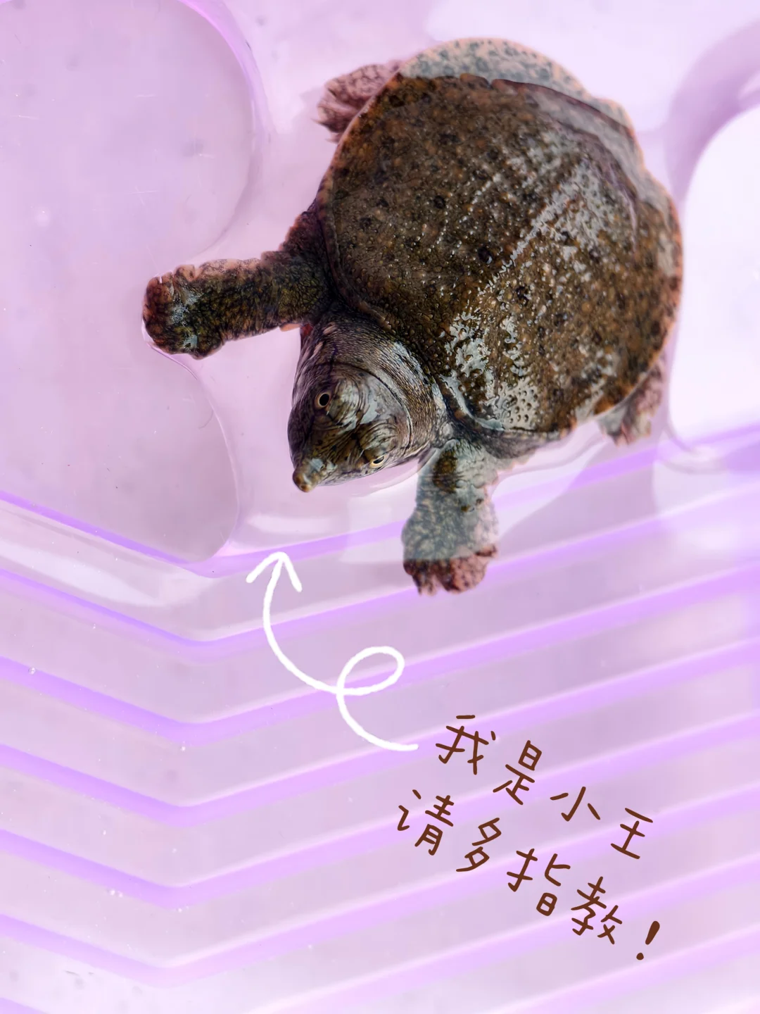 公司新聘的员工