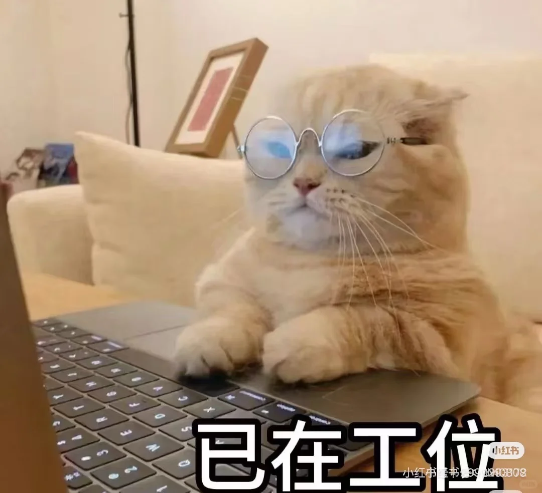 南阳市区找工作
