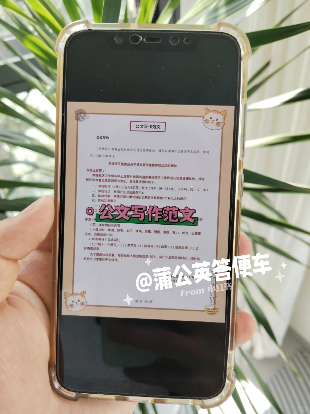 北京海淀区社区工作者，大概率从这里出