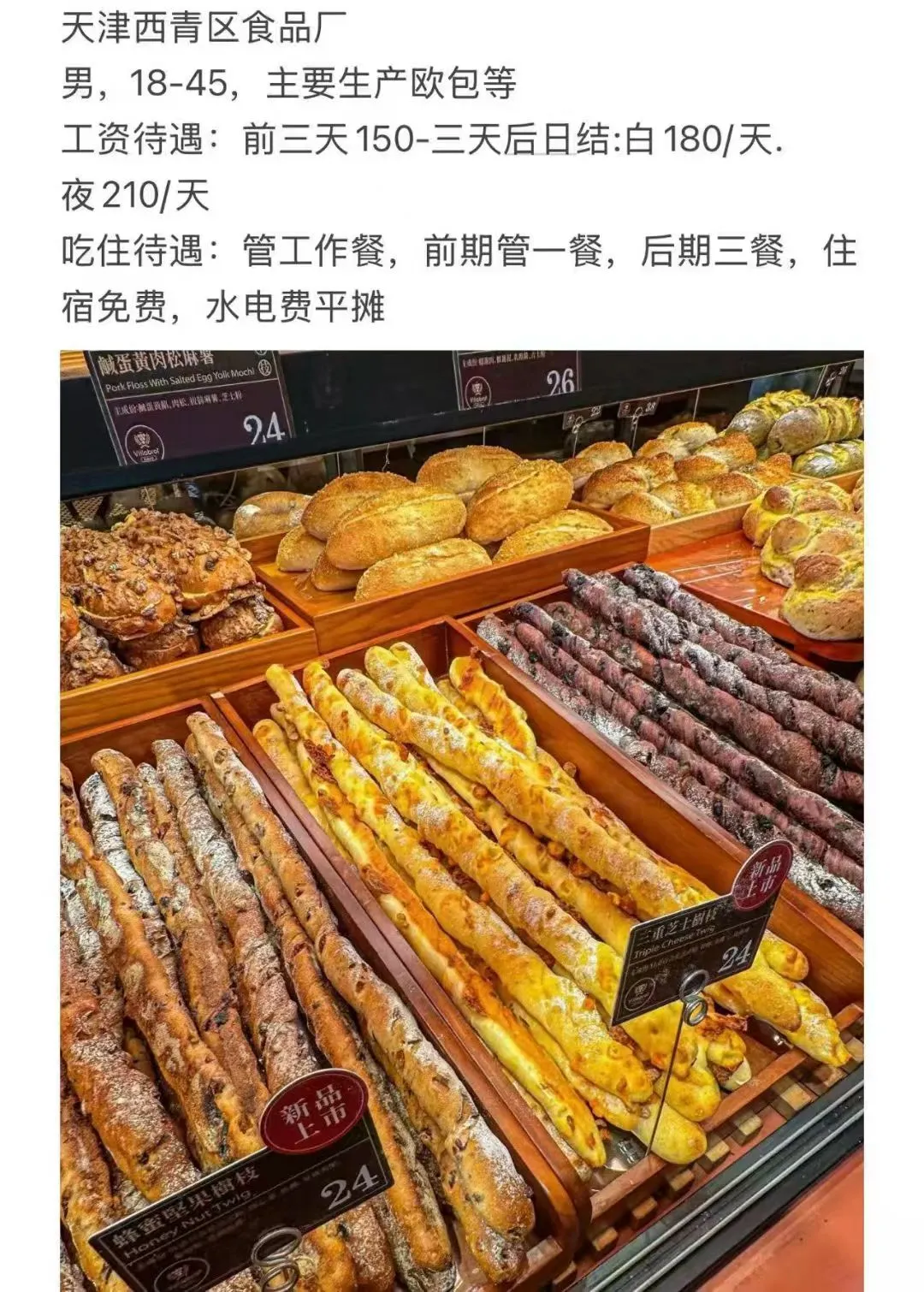 捞暑假工啦🎉