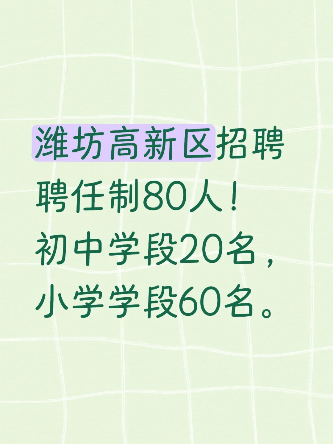 潍坊高新区招聘聘任制80人！