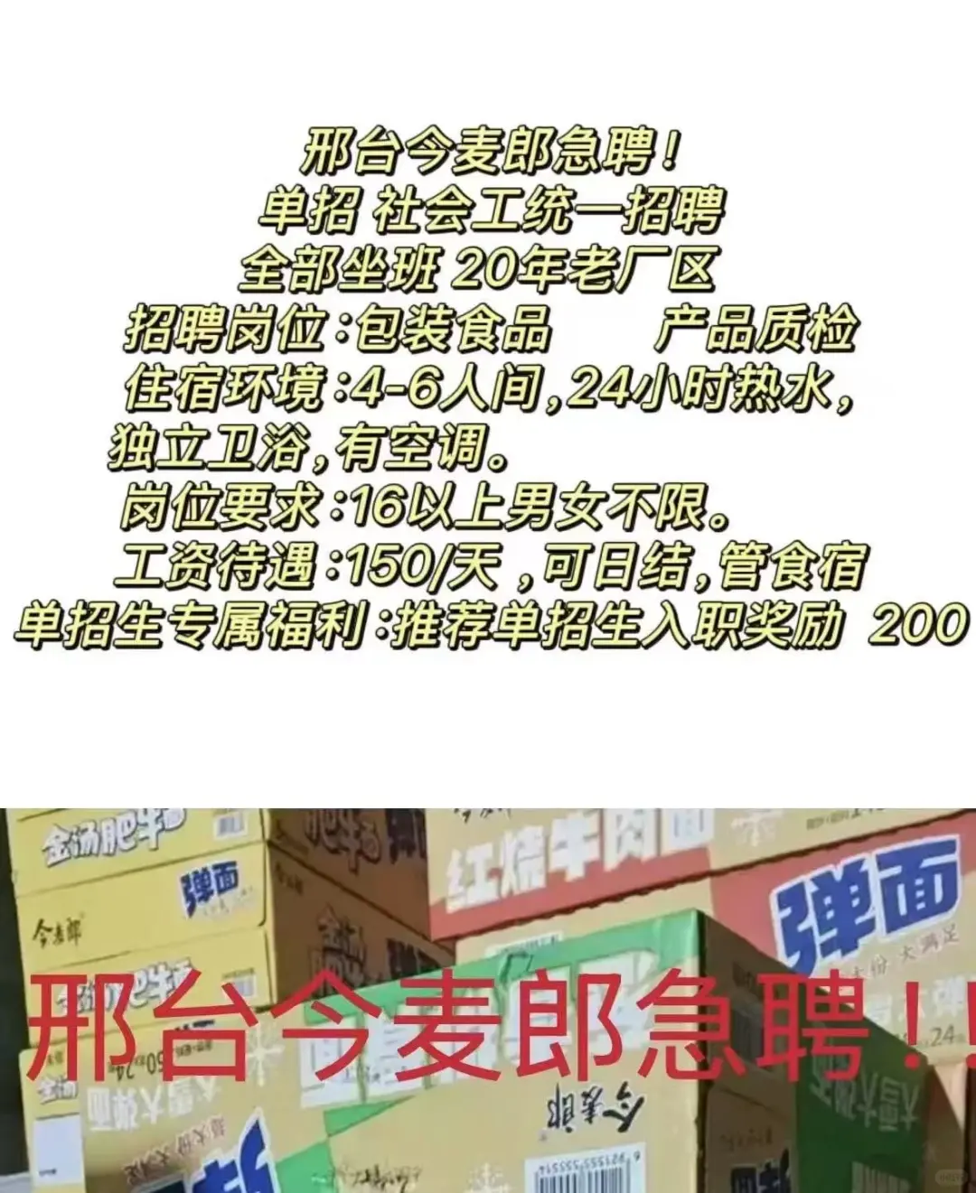 今麦郎急聘 暑假工 长期工 可日结