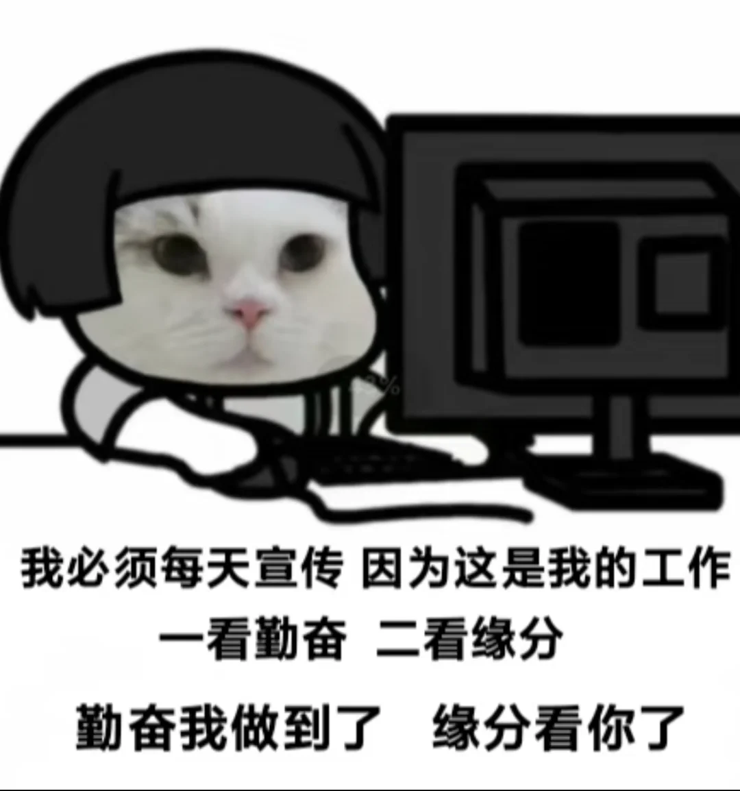 公司扩招，领导让我来🍠搞点动静