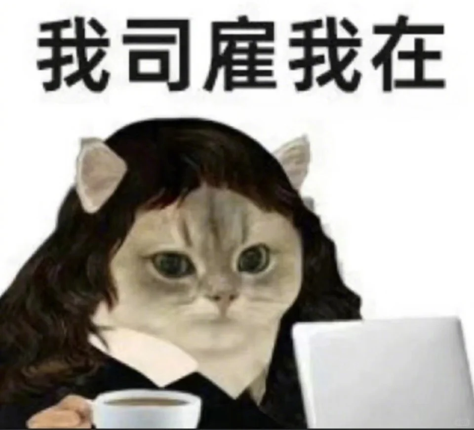 保洁阿姨有木有啊
