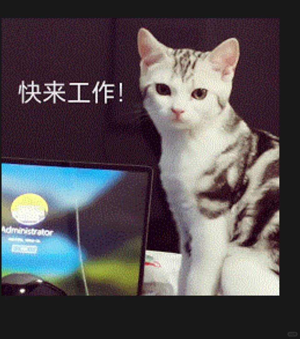 工作来工作来快来工作