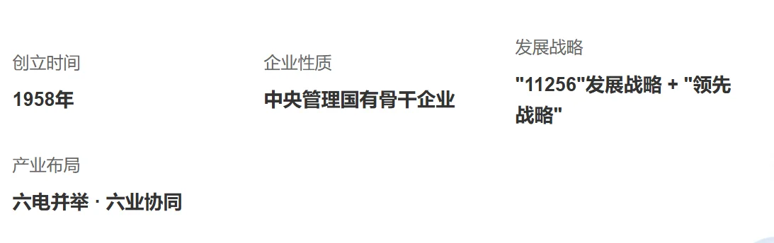 🔥 央企招聘| 世界级能源巨头专科可投