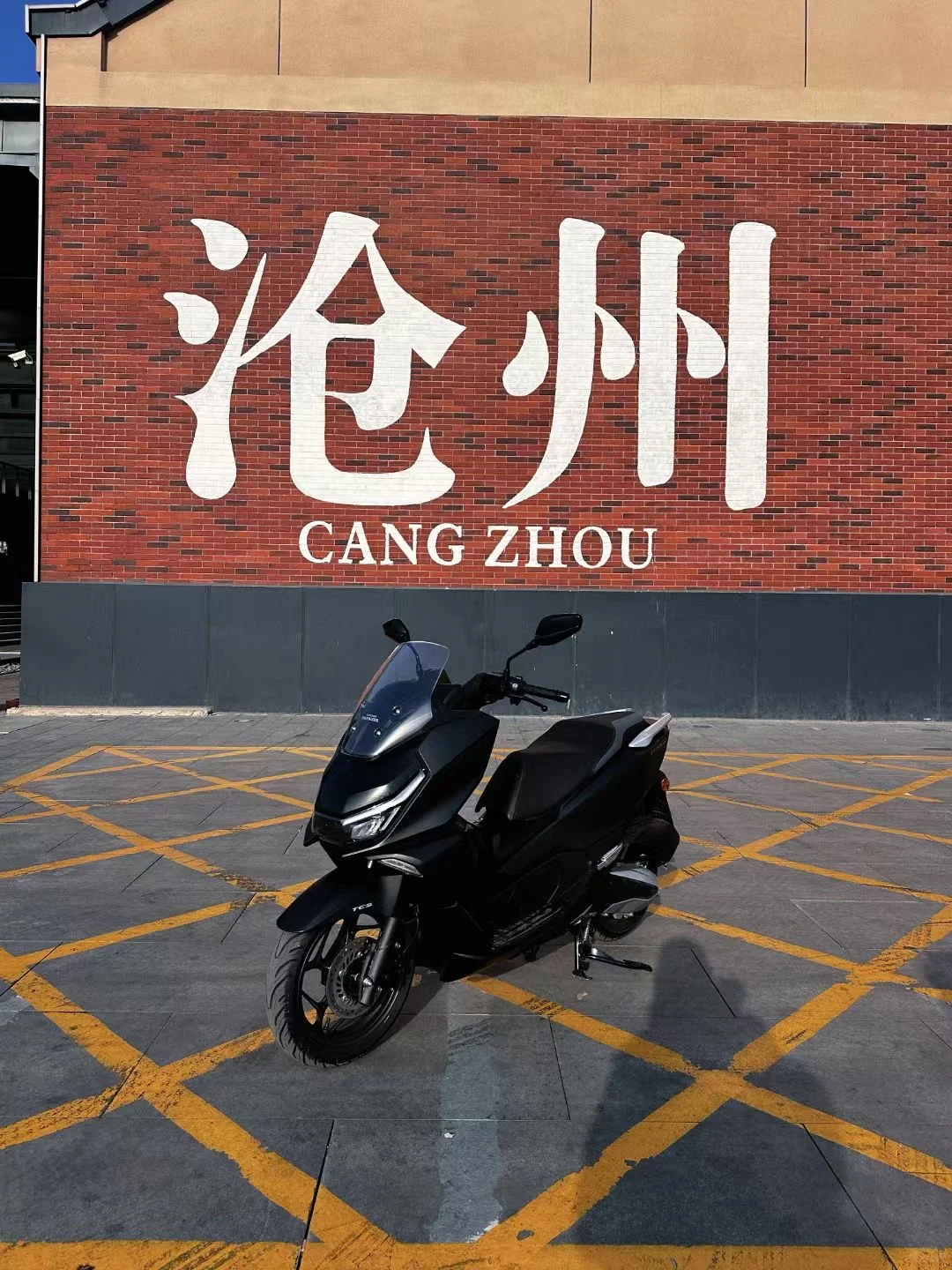 牛马上线喽！ 沧州招聘信息