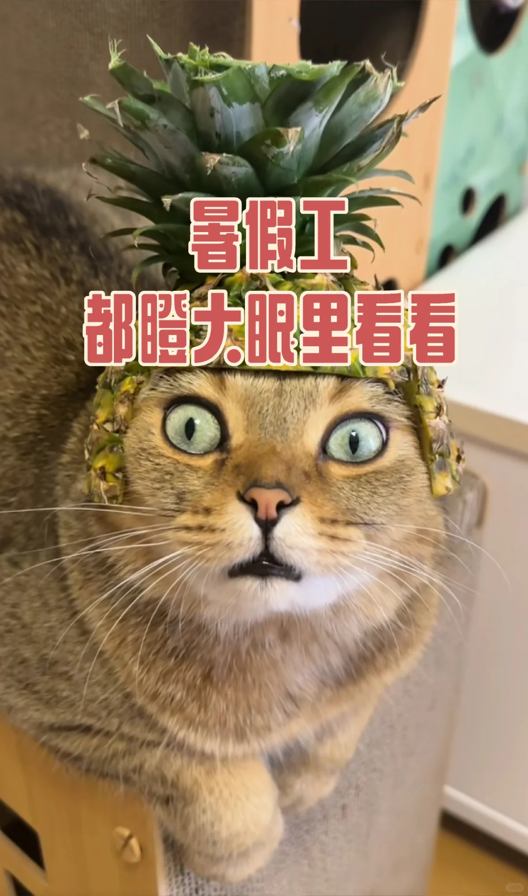 ⚠️必看！暑假工避坑指南｜血泪经验