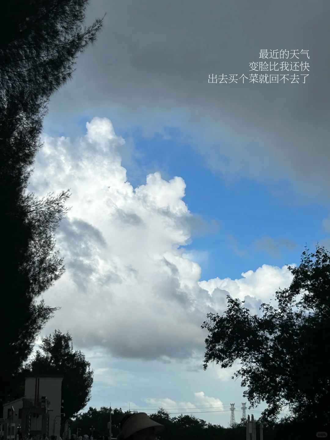 放心你不会找不到工作的（弟弟成功进国企版