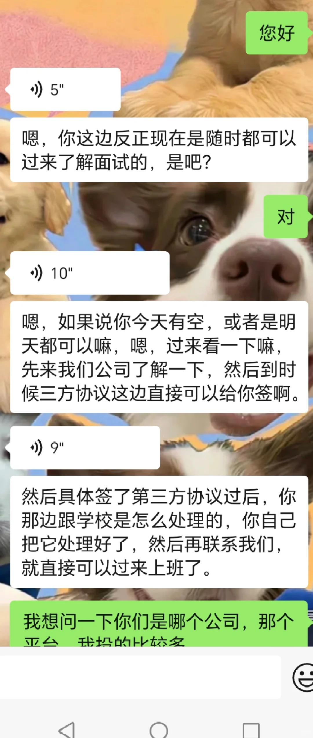 这个是骗子公司吗？
