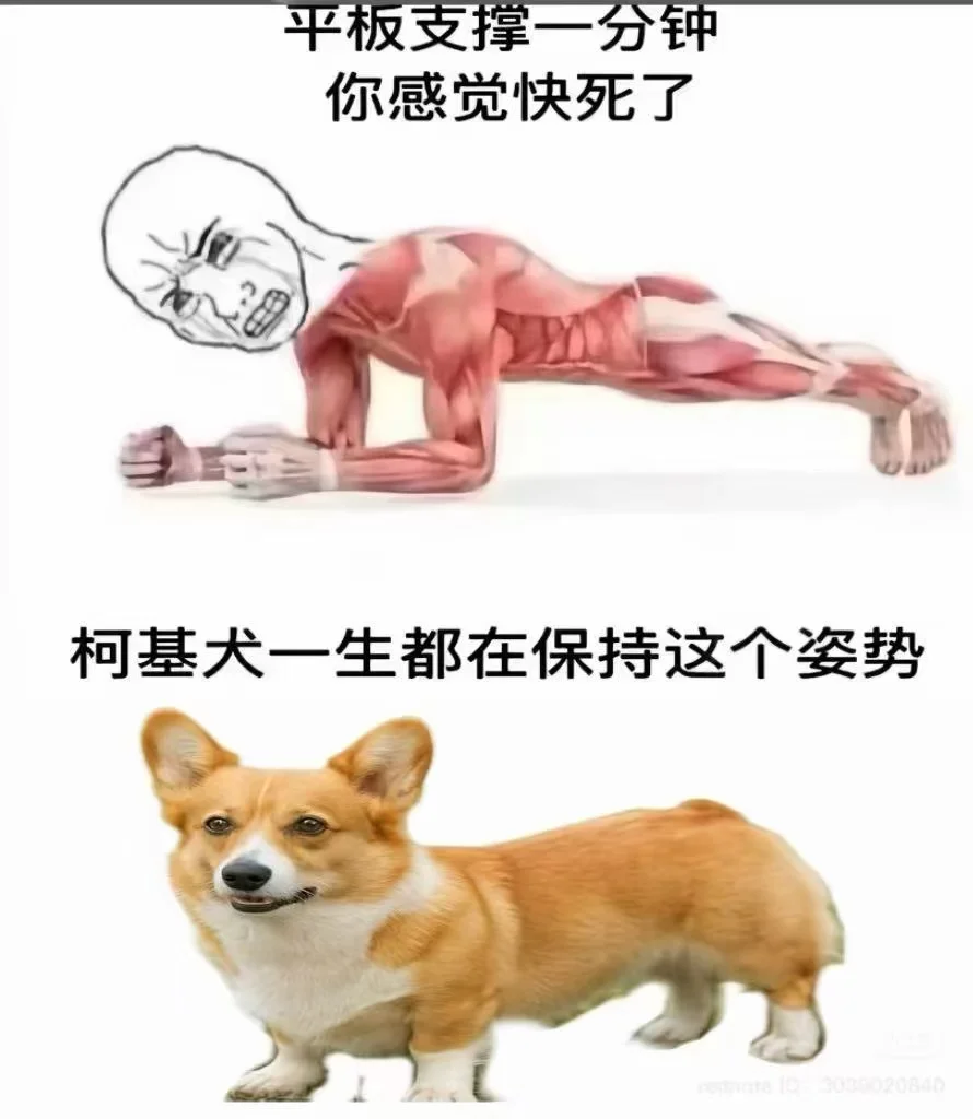 宝应工作招聘