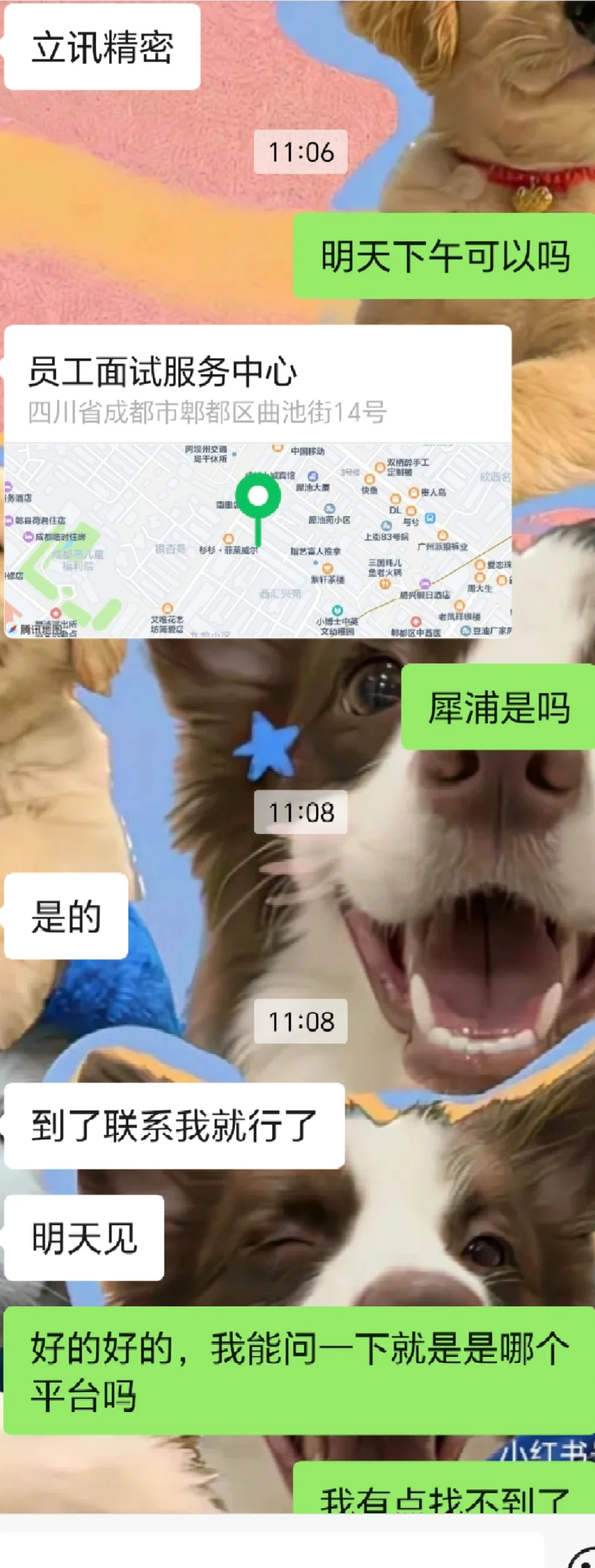 这个是骗子公司吗？